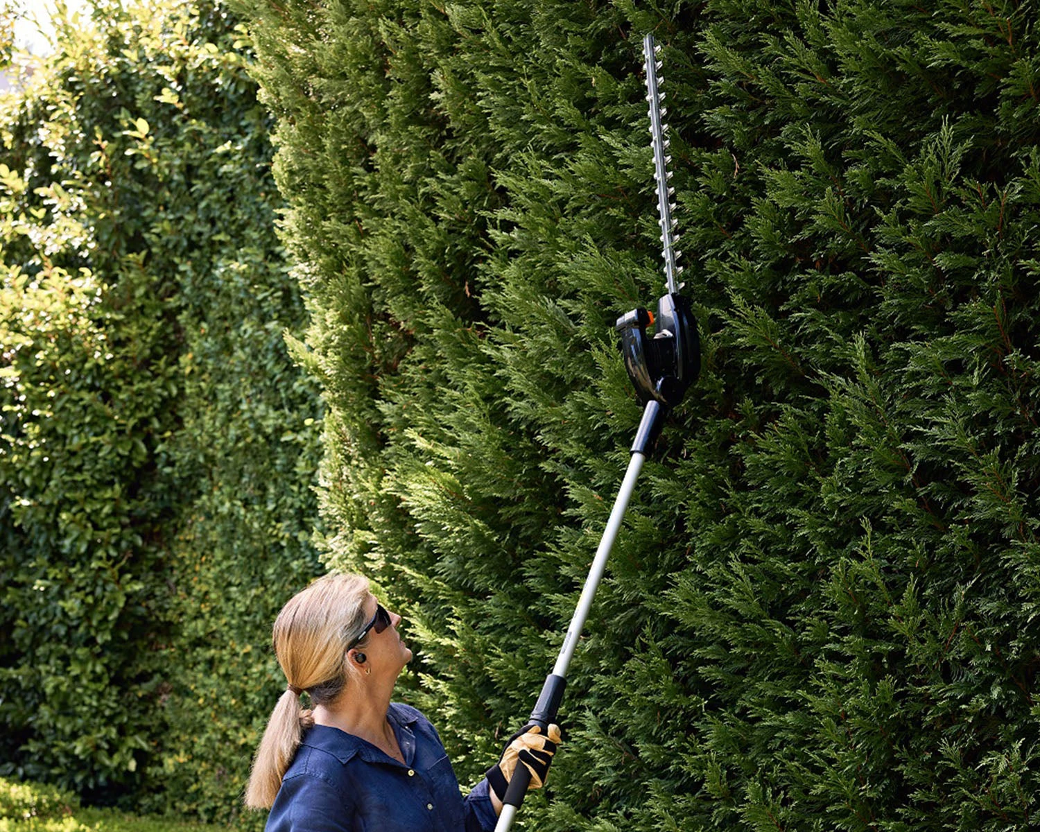 Echo DHCA-310 Cordless Long Reach Hedgetrimmer 4 Echo DHCA-310 Cordless Long Reach Hedgetrimmer - Image 2
